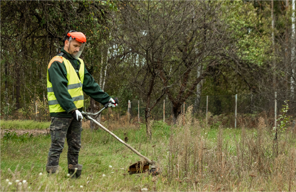 photo_debroussaillage