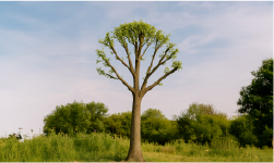 photo_taille_reduction