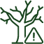 picto_arbre_dangereux