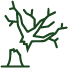 picto_arbre_mort
